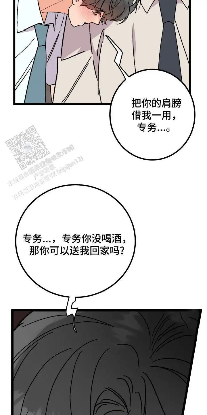29.jpg