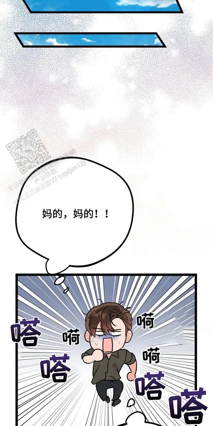 33.jpg