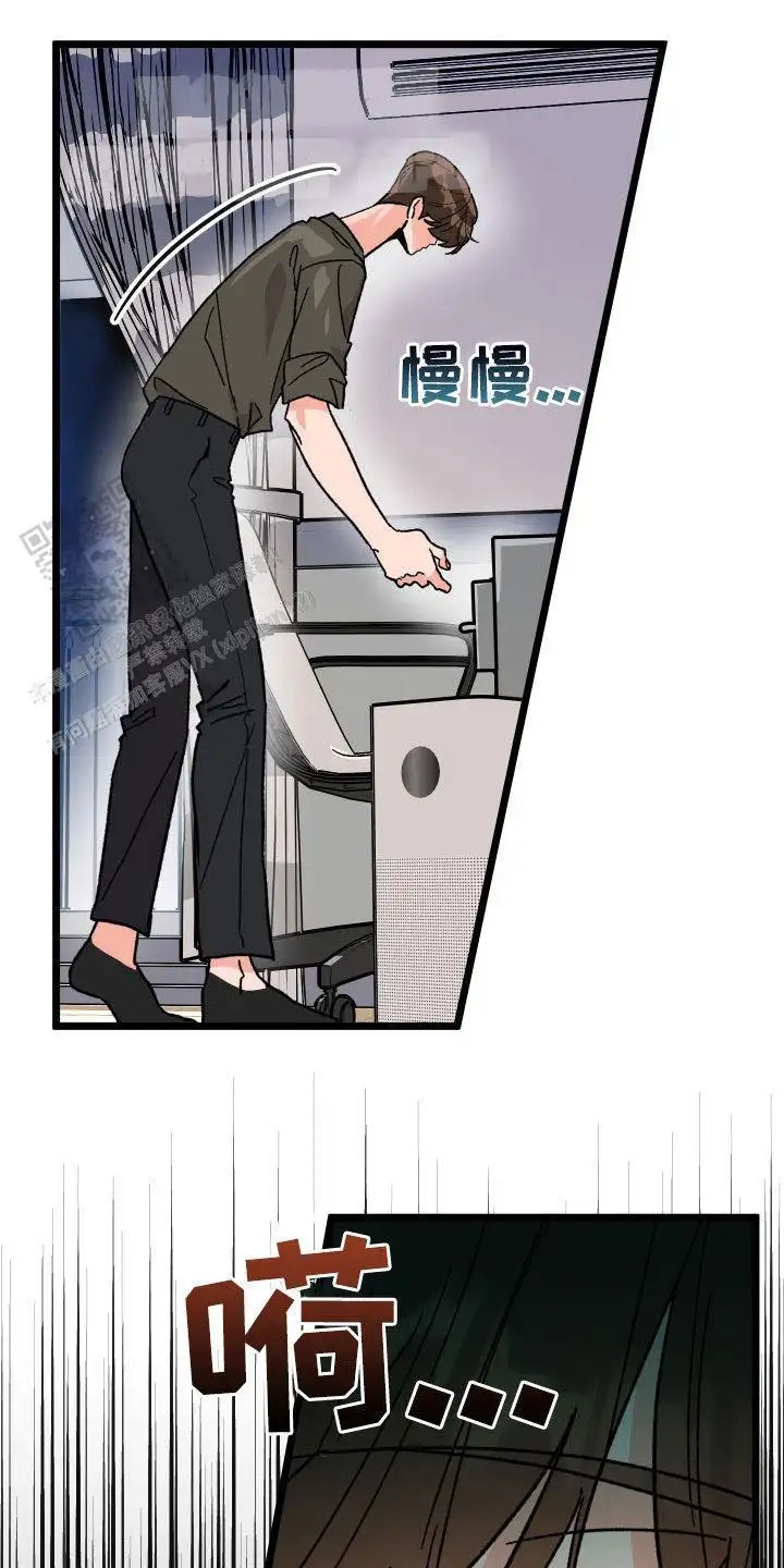 41.jpg