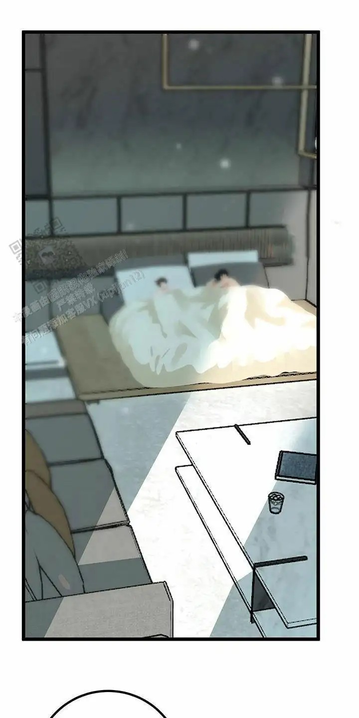 29.jpg