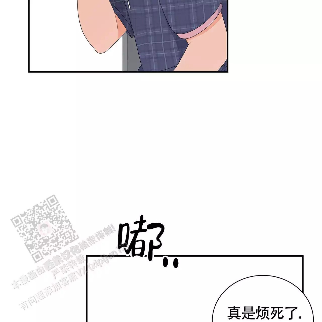 40.jpg