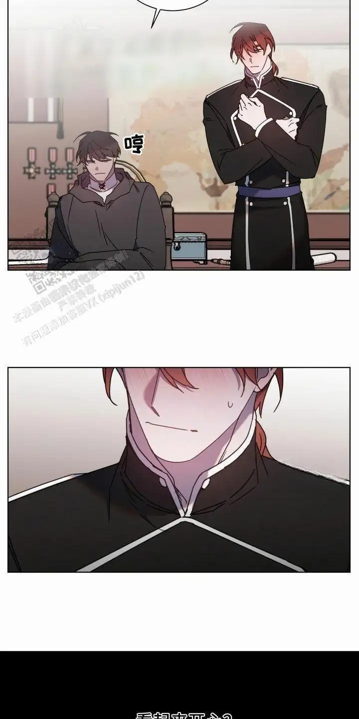 14.jpg