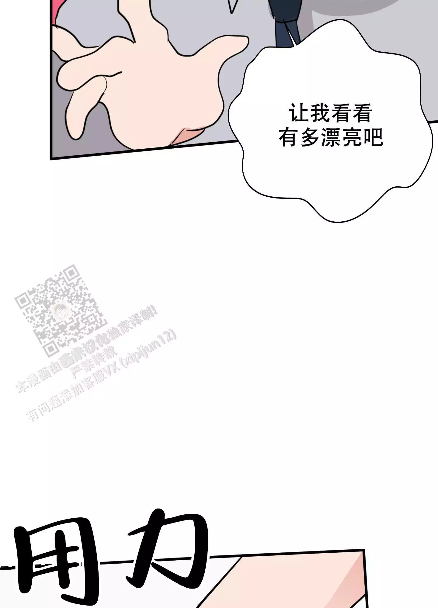 41.jpg
