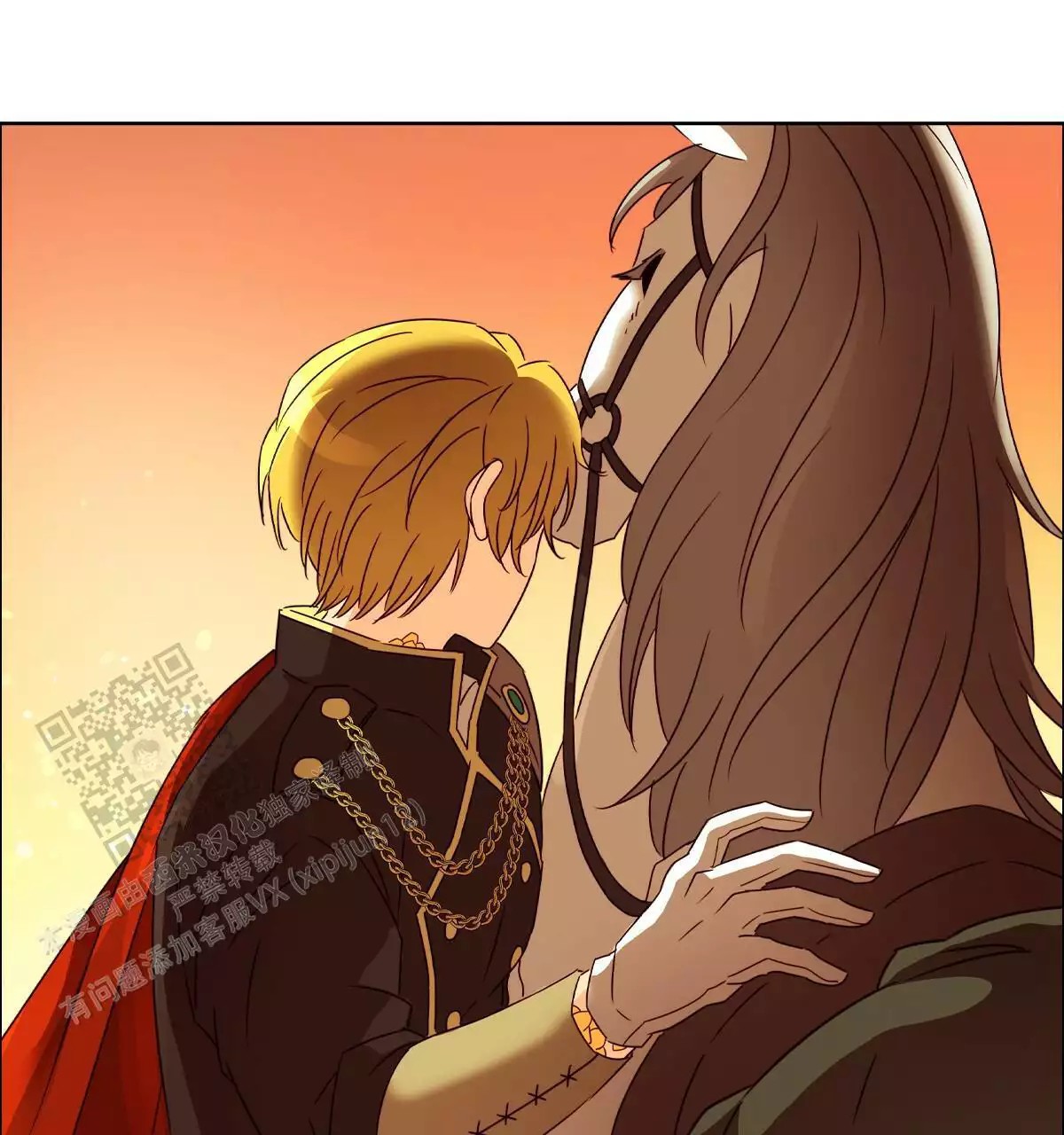 41.jpg