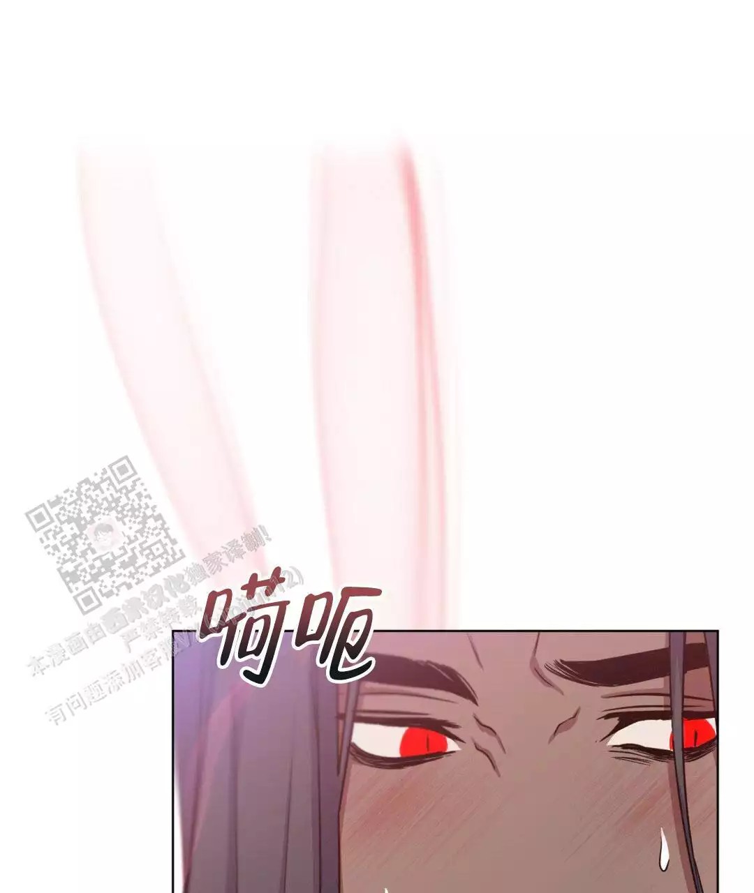 47.jpg