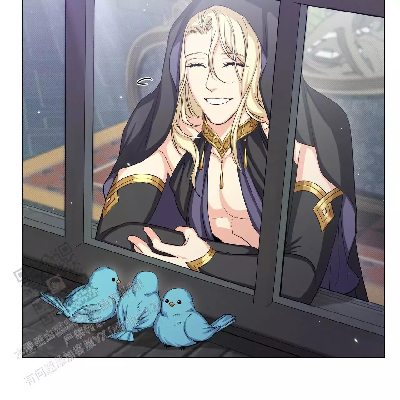 41.jpg
