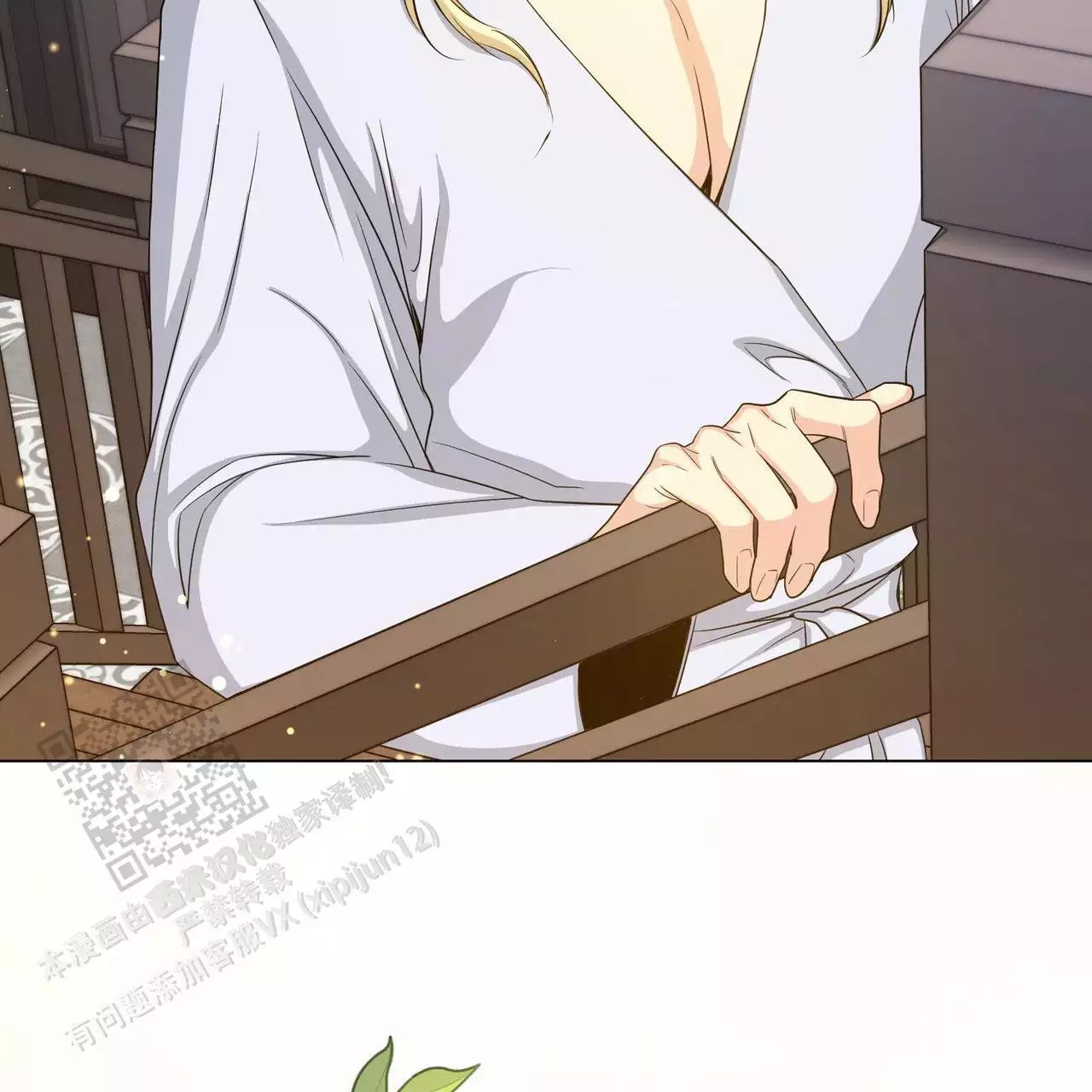 12.jpg
