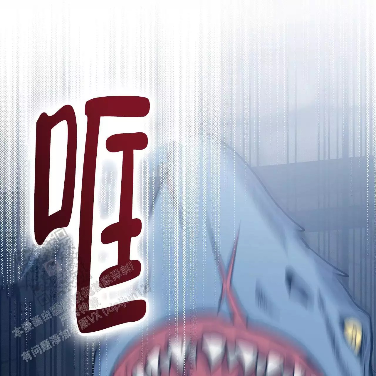 47.jpg