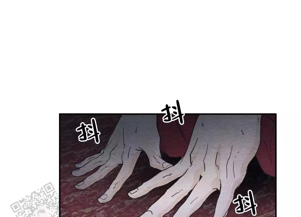 41.jpg