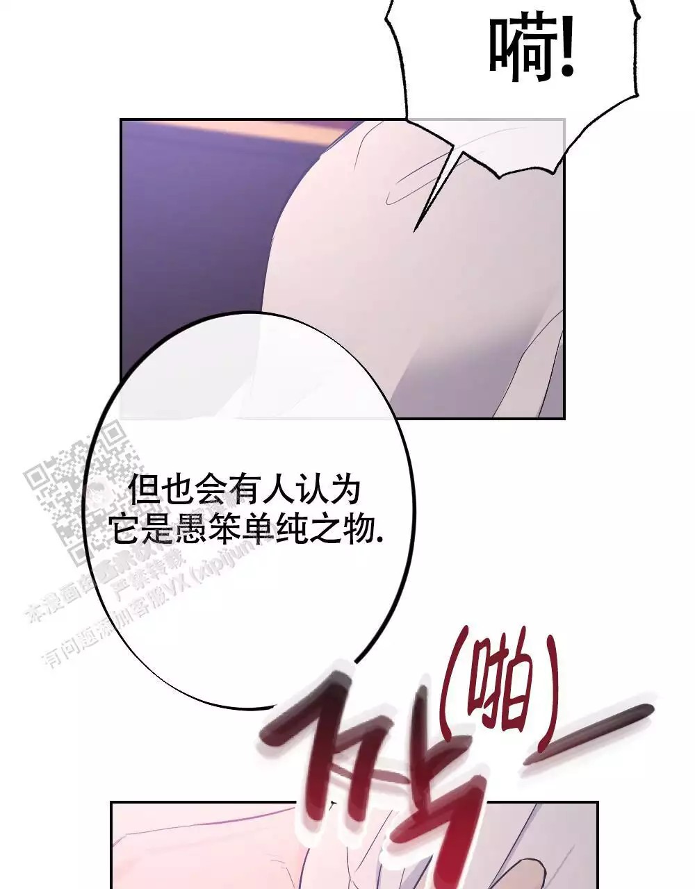 43.jpg