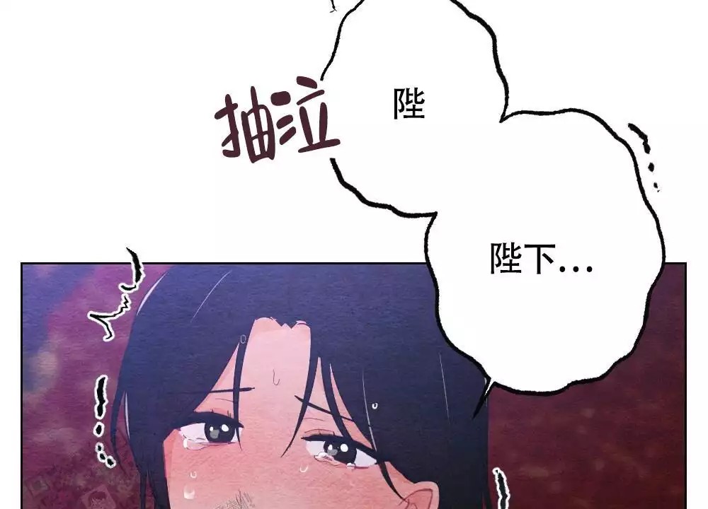 60.jpg