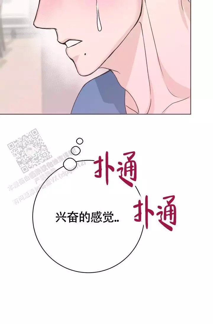39.jpg