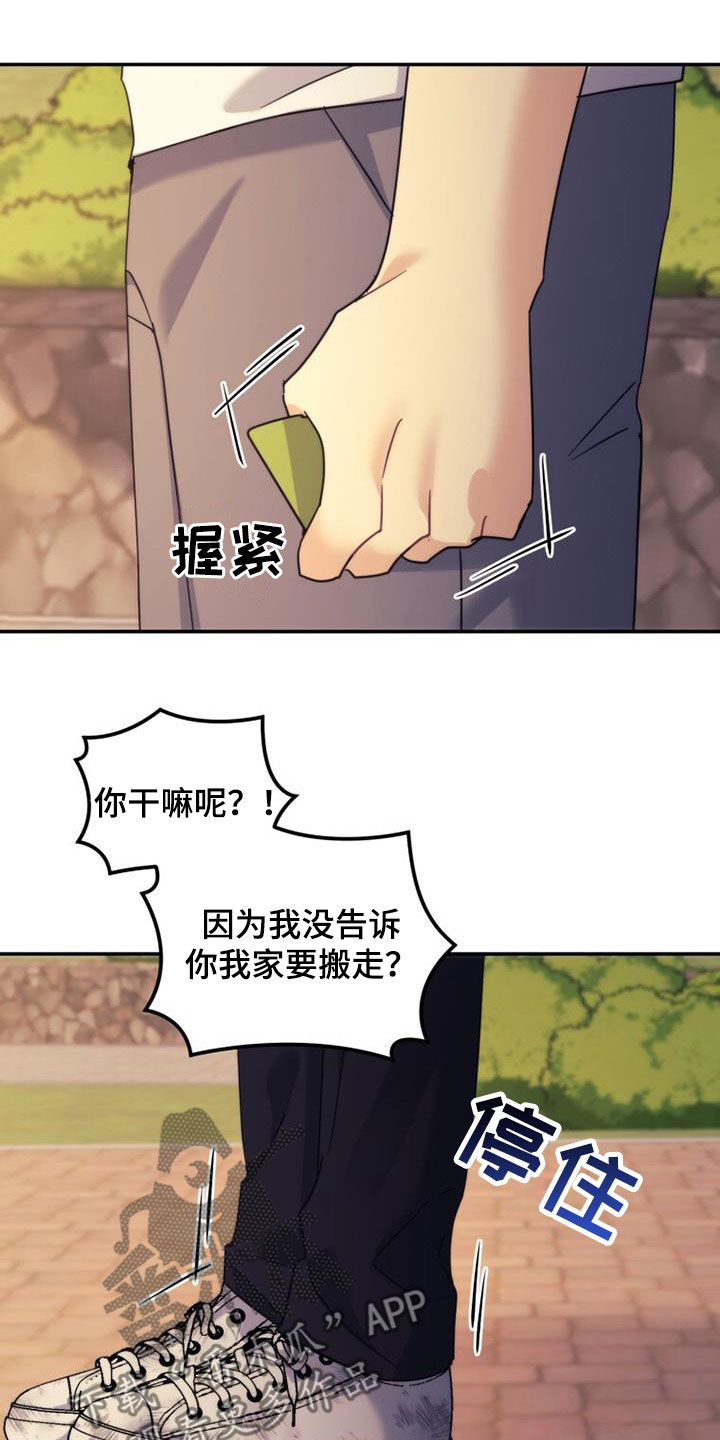 21.jpg