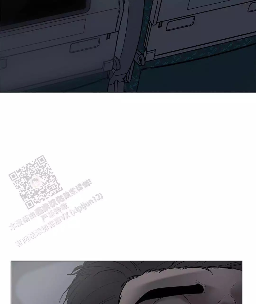 41.jpg