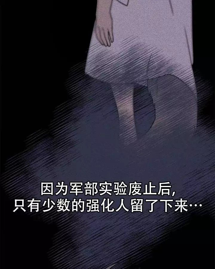 41.jpg