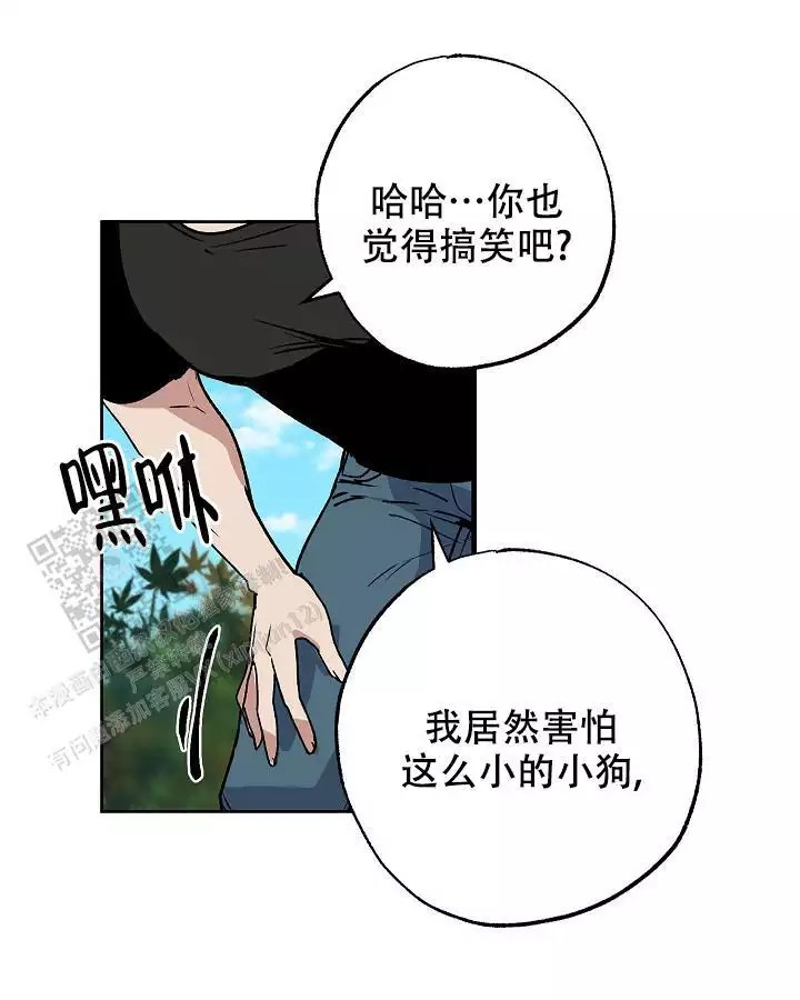 20.jpg