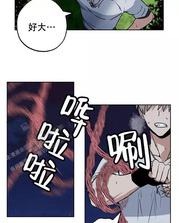 25.jpg