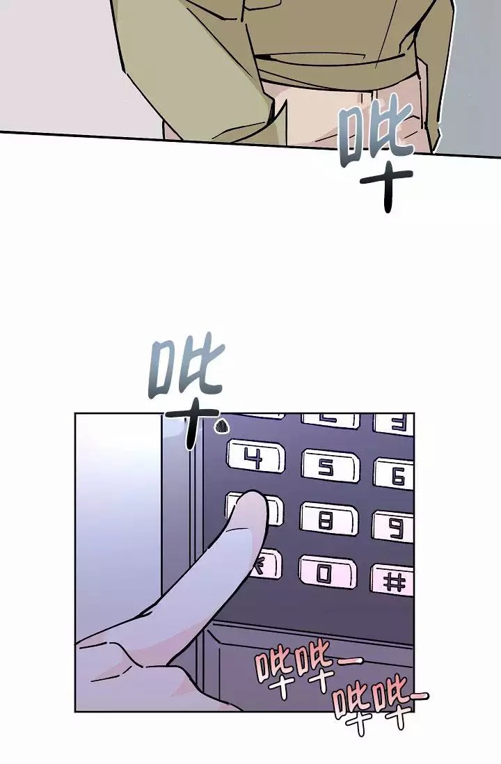 31.jpg