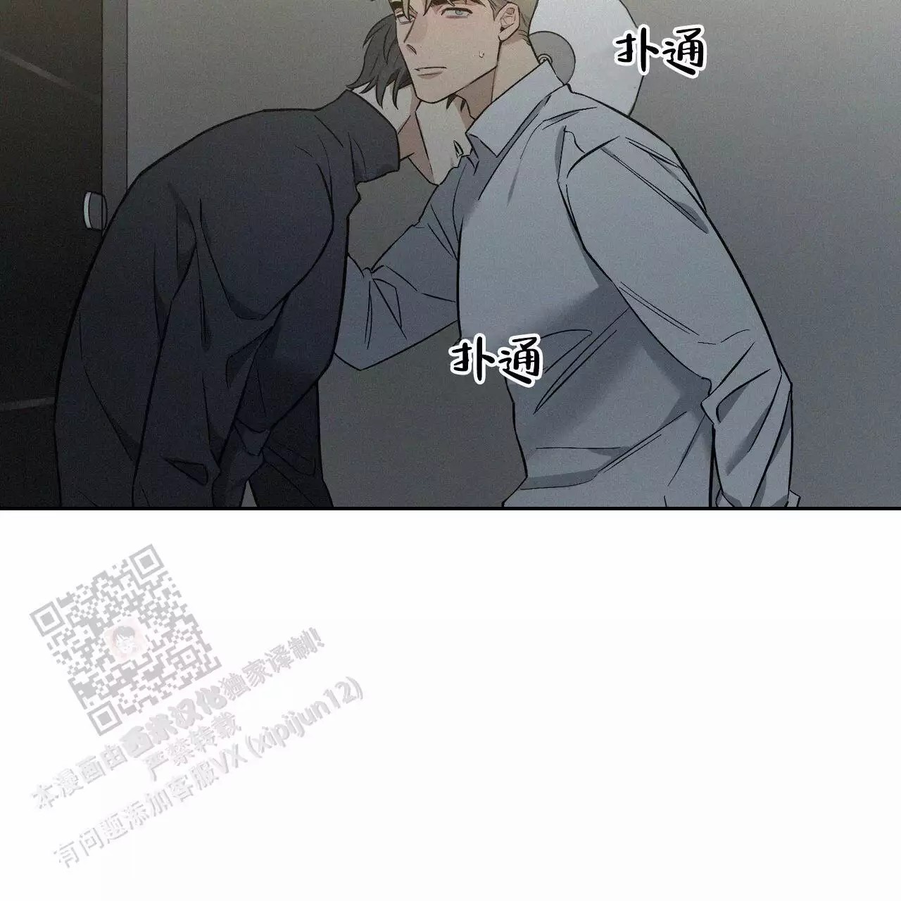 47.jpg