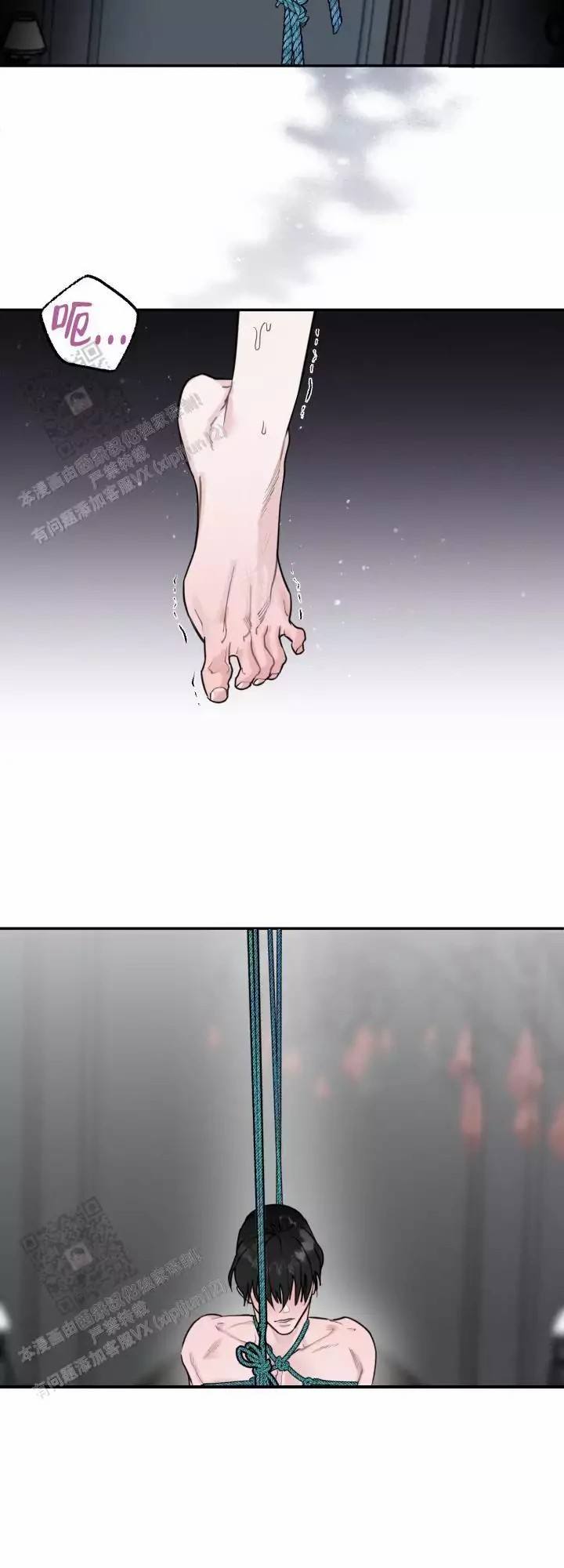 16.jpg
