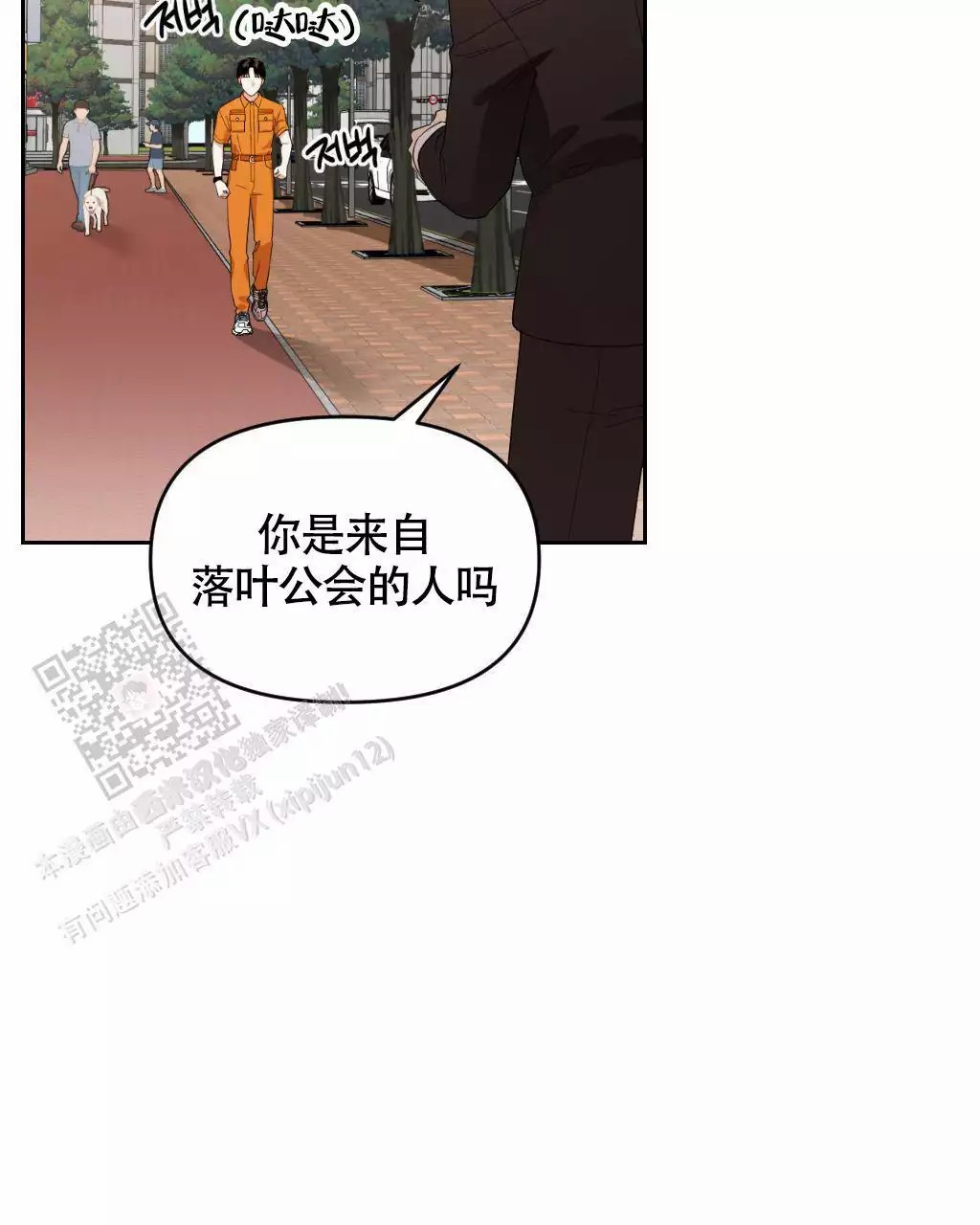 29.jpg