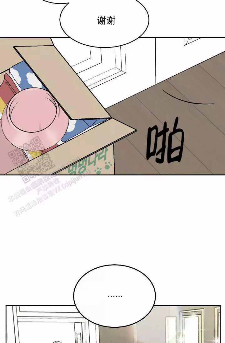 41.jpg