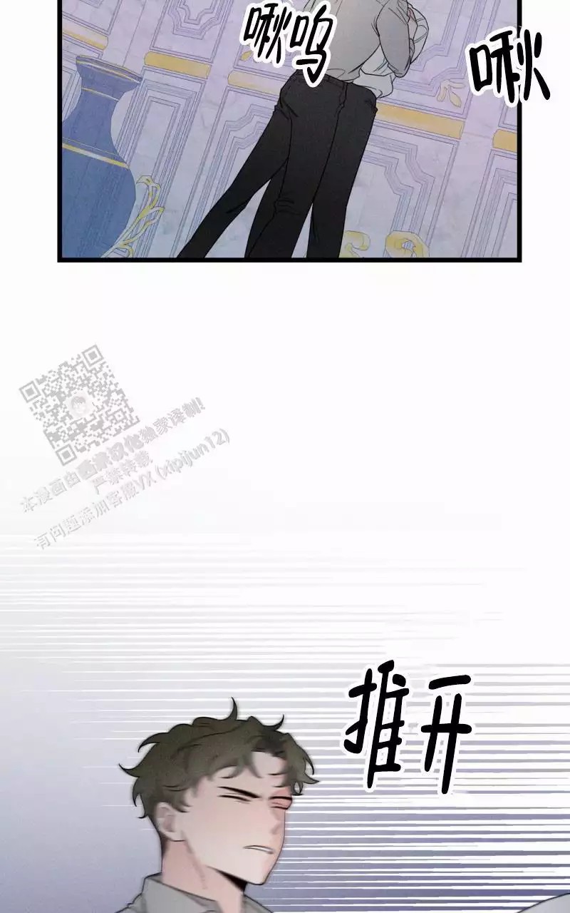 24.jpg