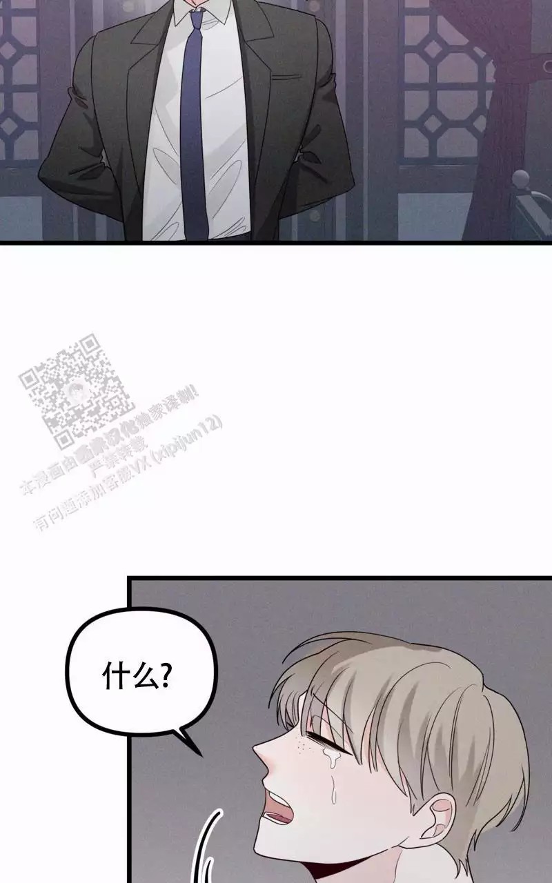 38.jpg