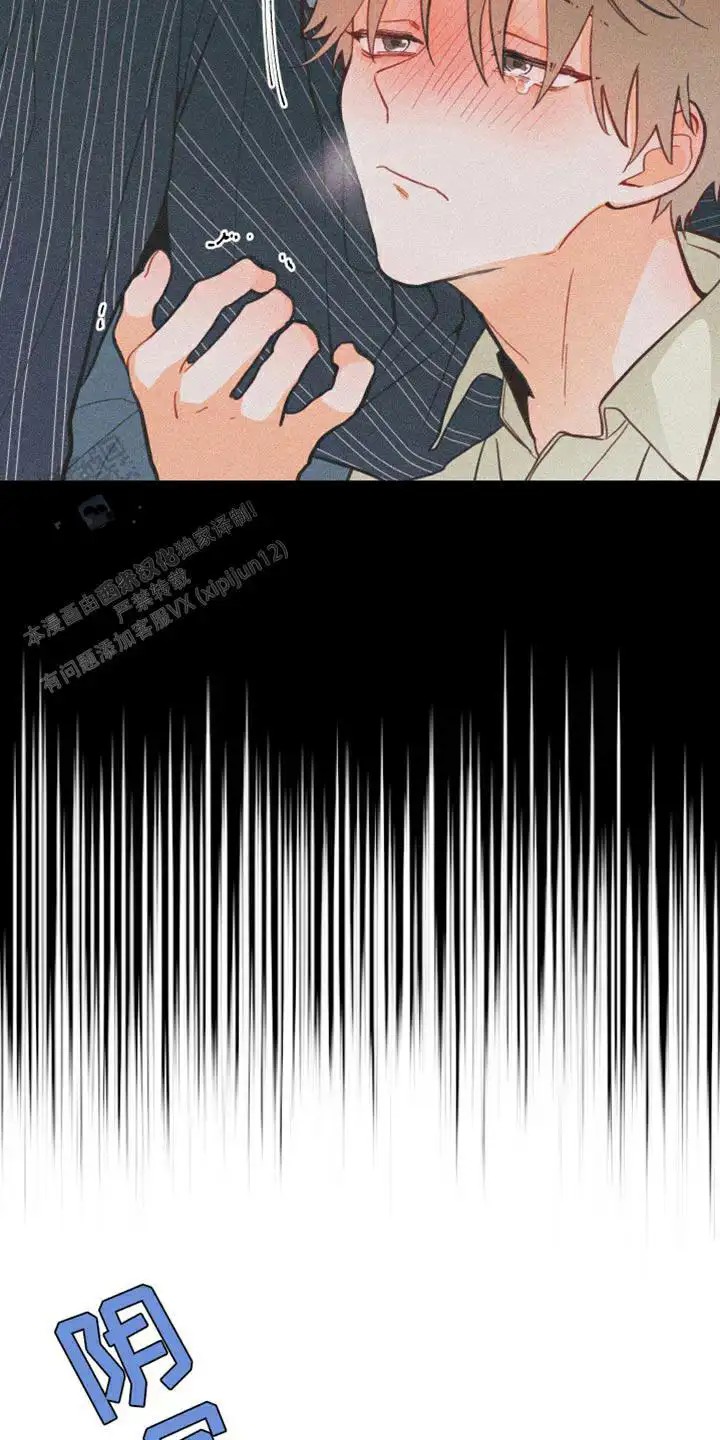 12.jpg