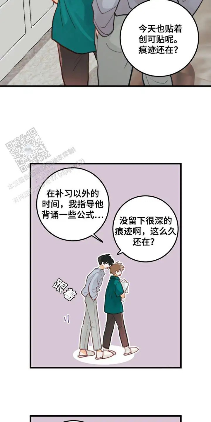 15.jpg