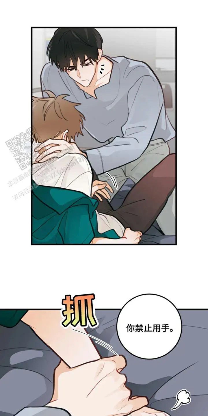 12.jpg