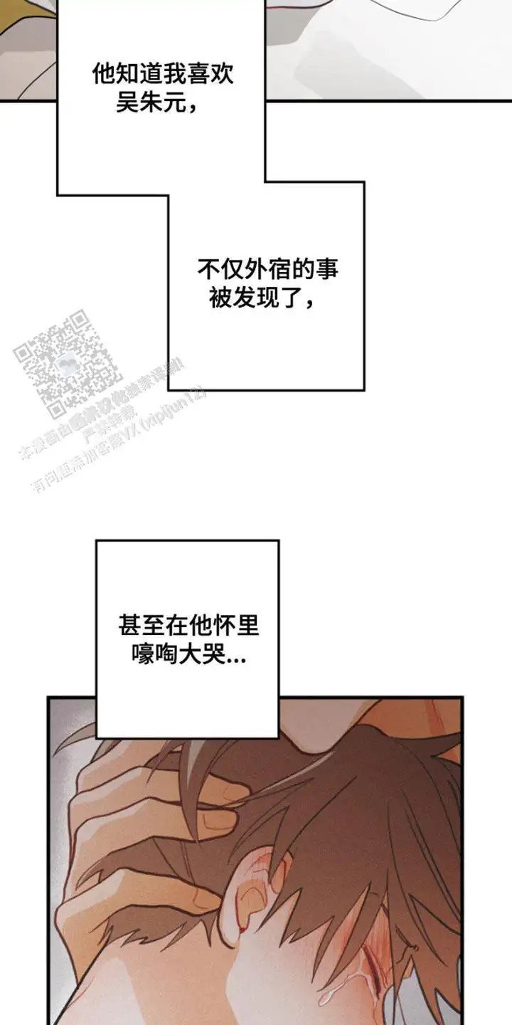 13.jpg