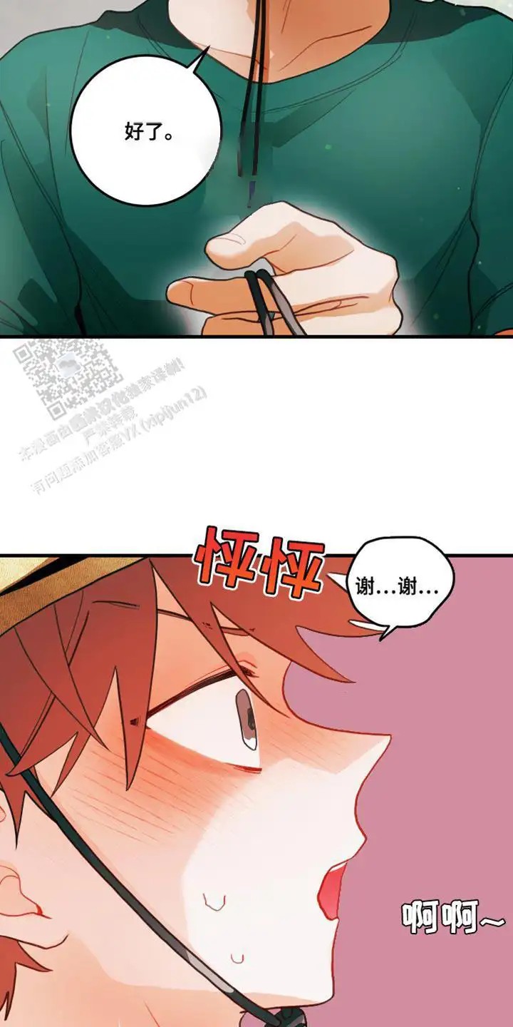 15.jpg