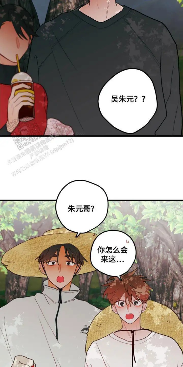 19.jpg