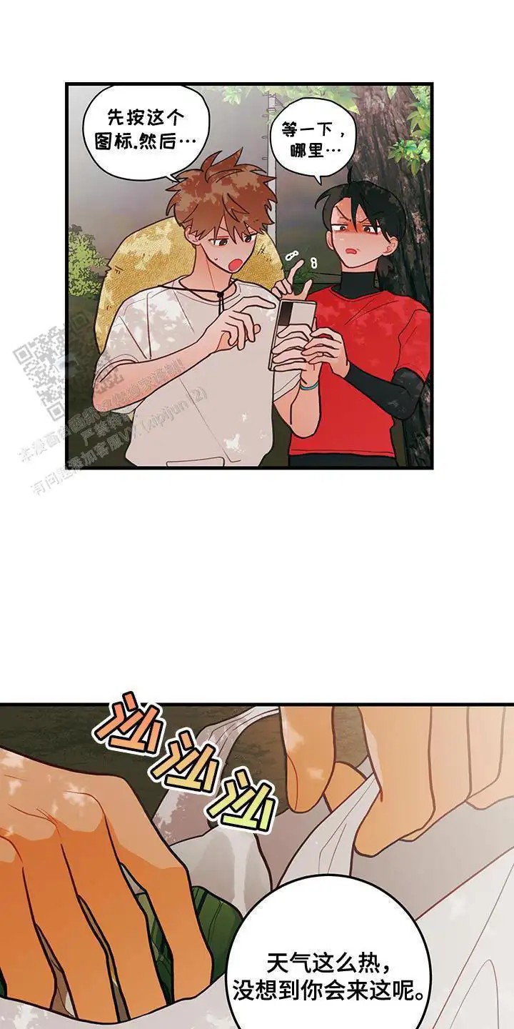 8.jpg