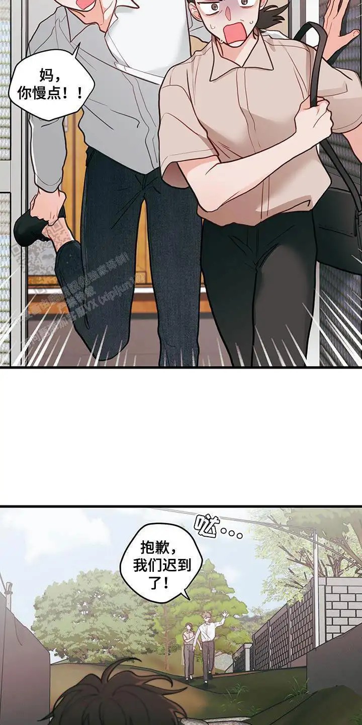 15.jpg