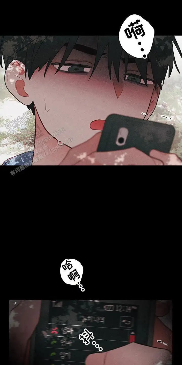 15.jpg