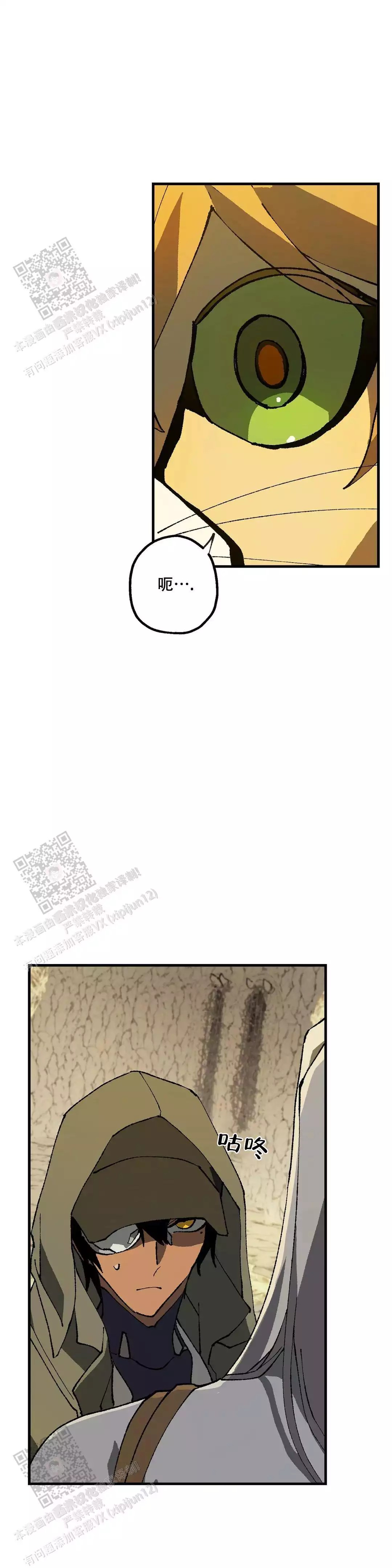 13.jpg
