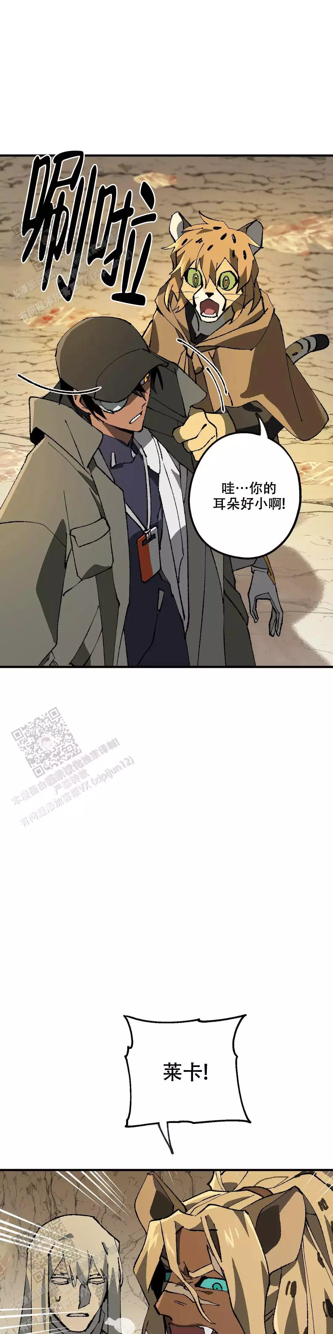 8.jpg
