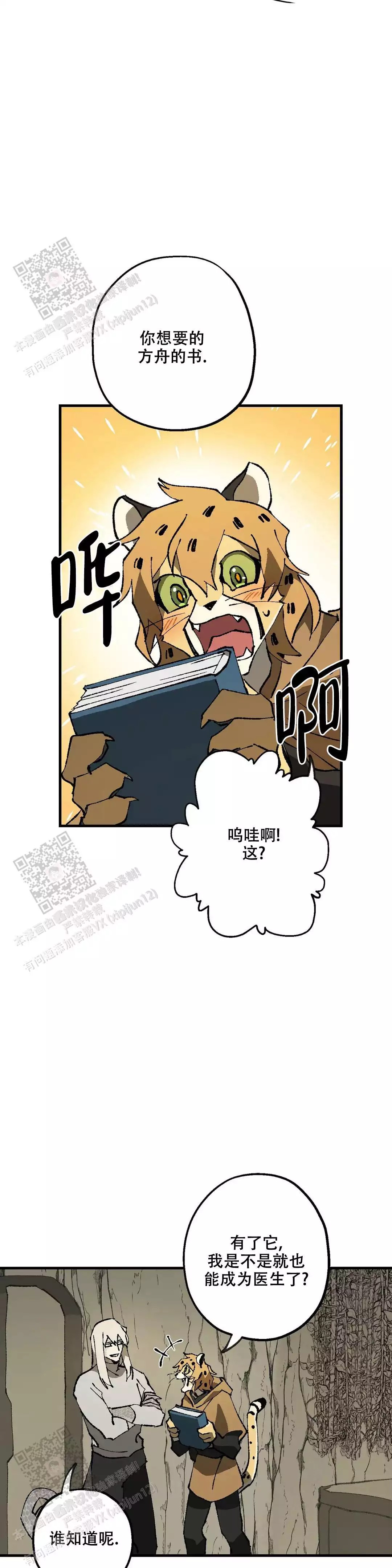 11.jpg