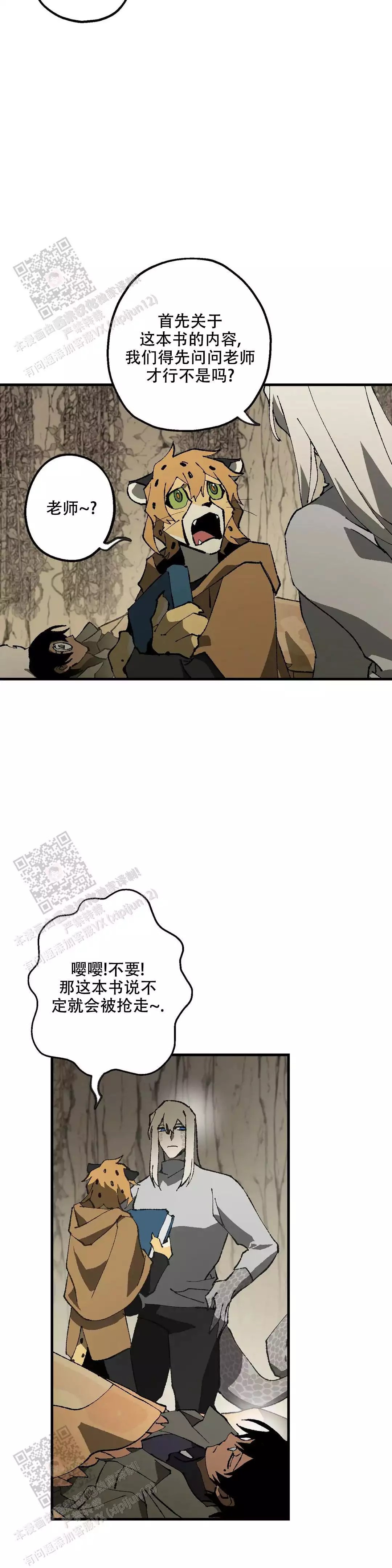 12.jpg