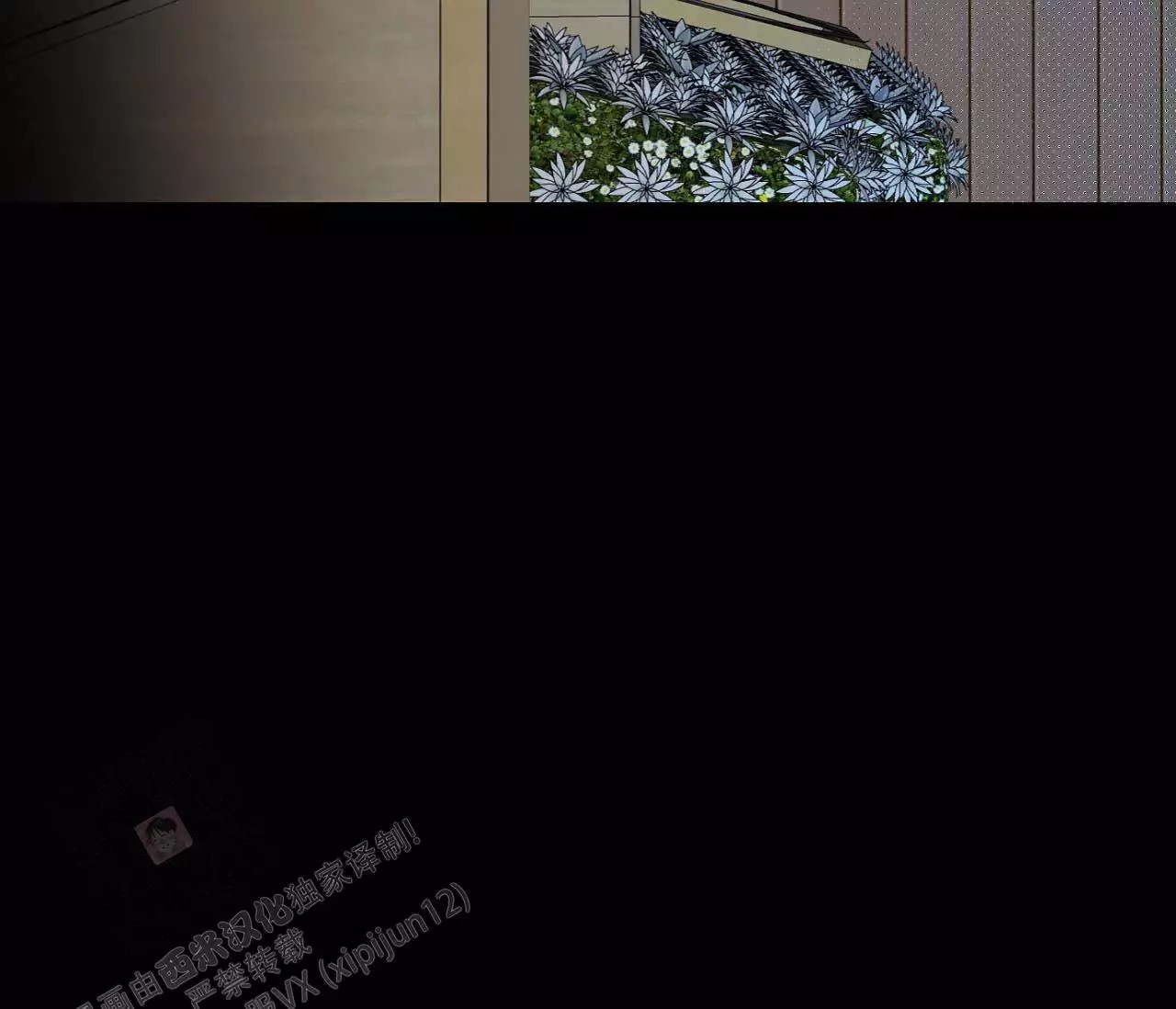 52.jpg