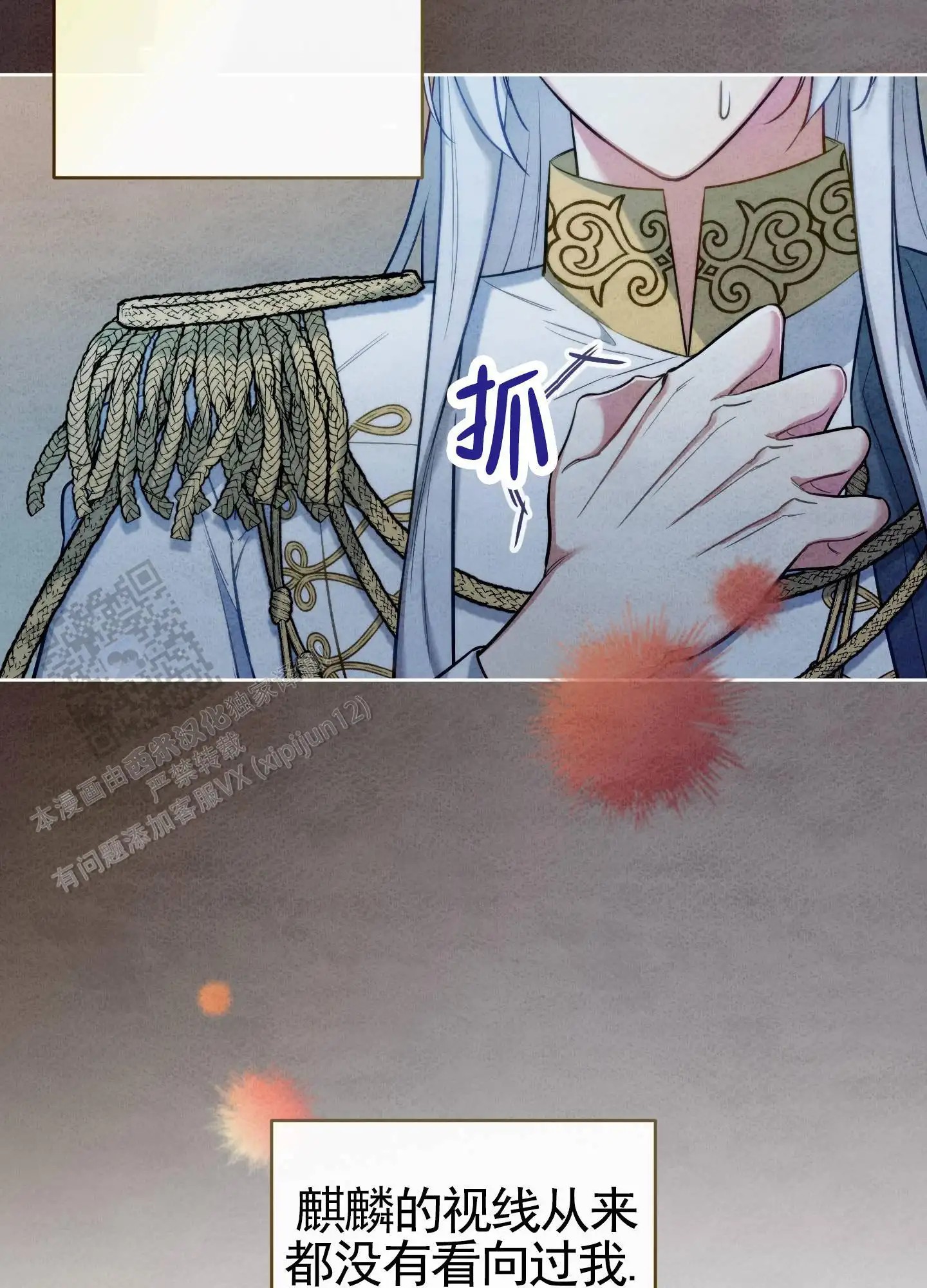 21.jpg