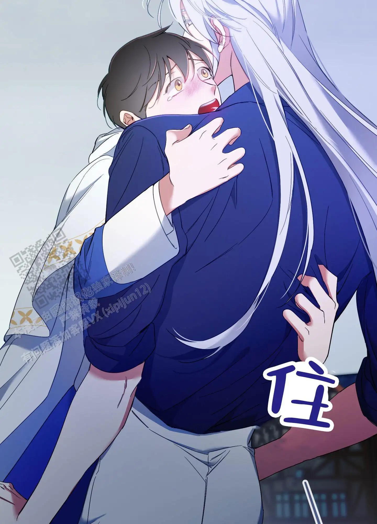33.jpg