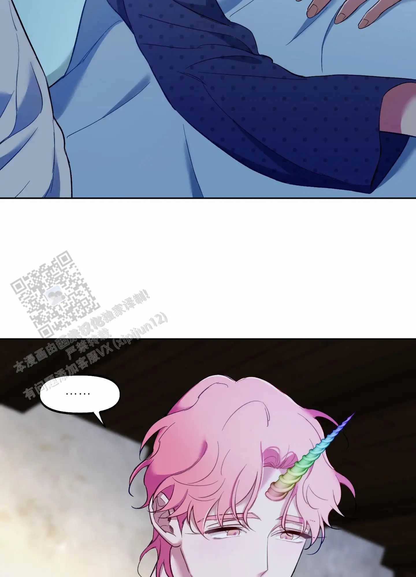 41.jpg