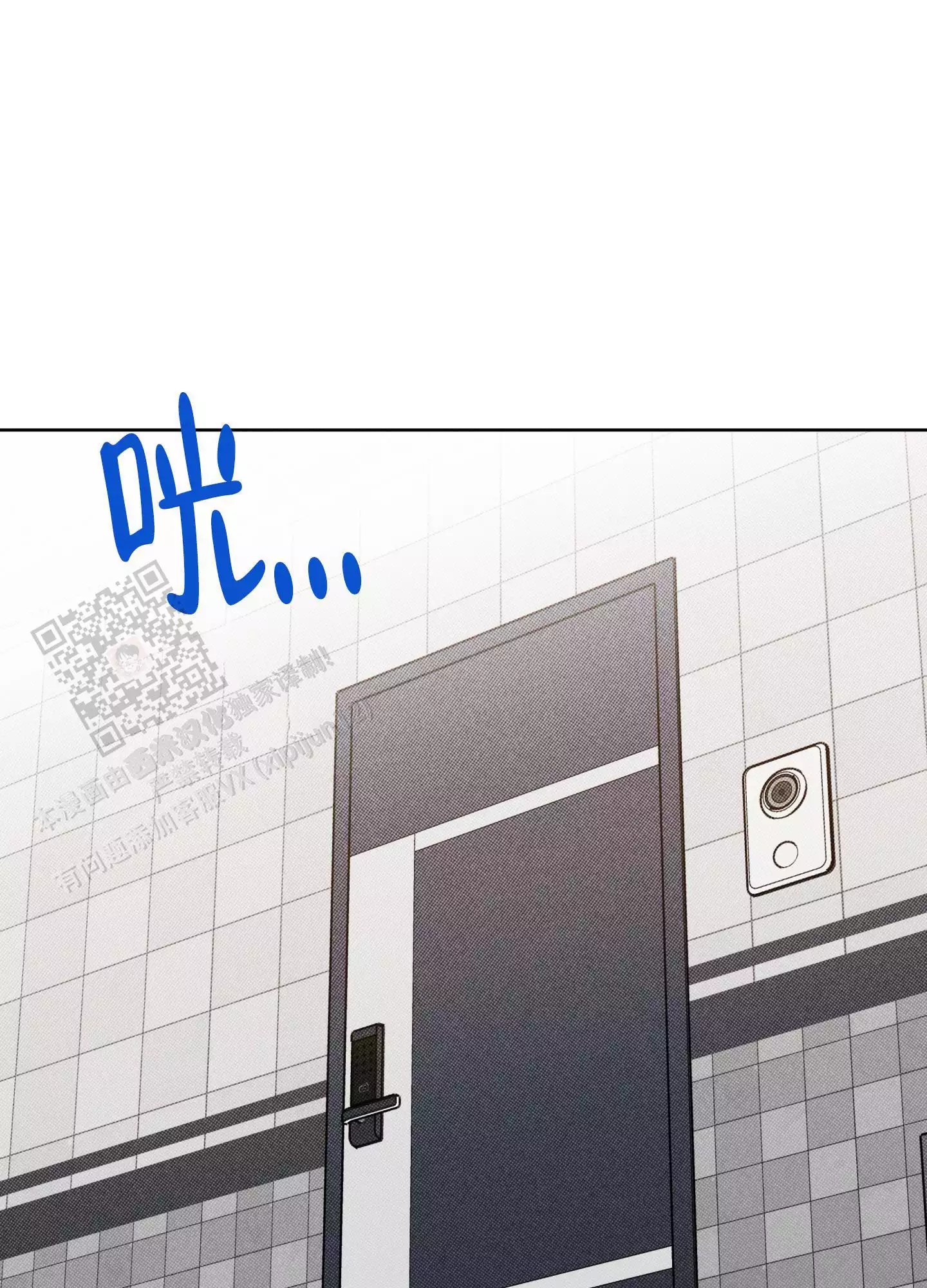 43.jpg