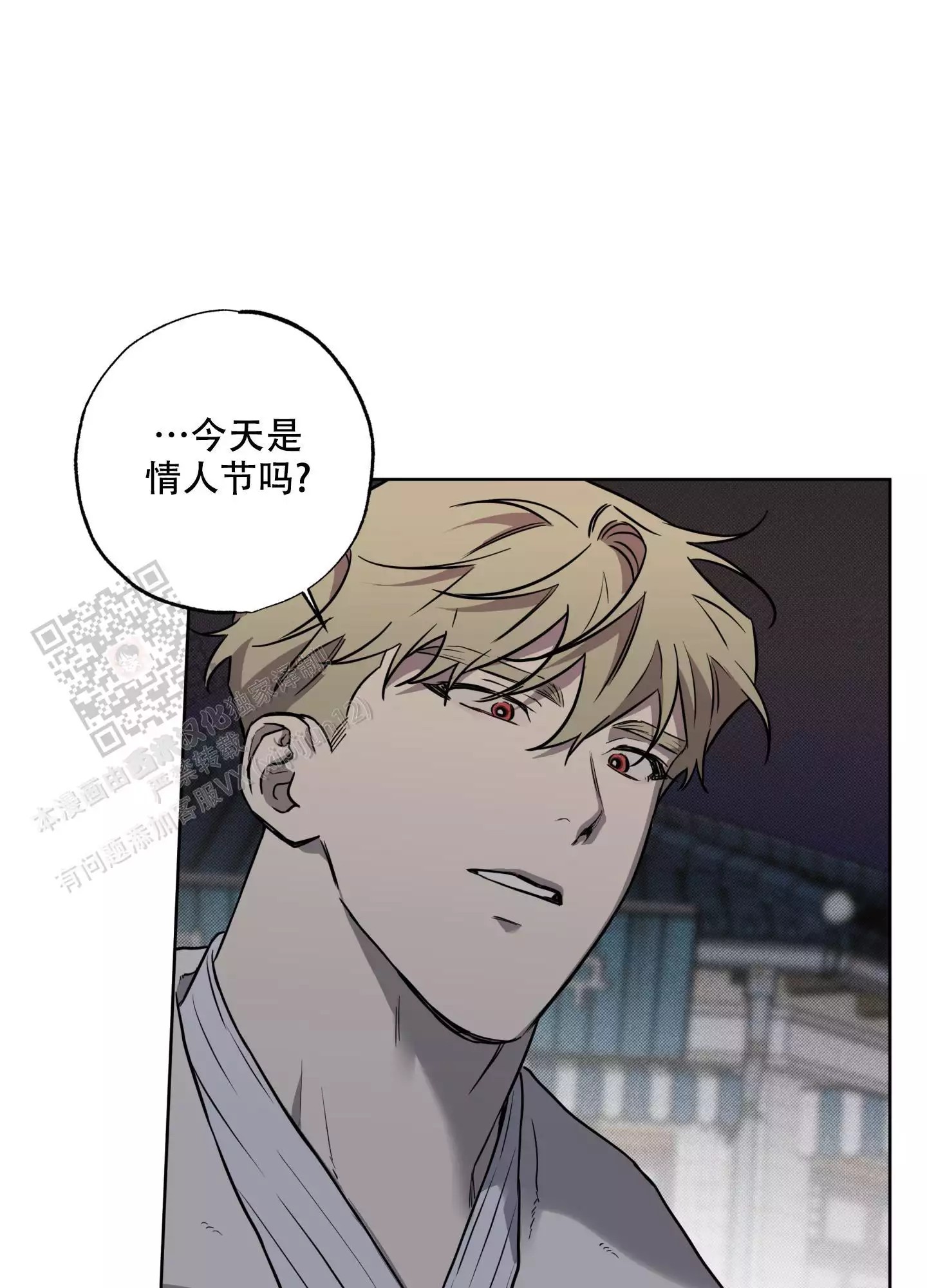 21.jpg