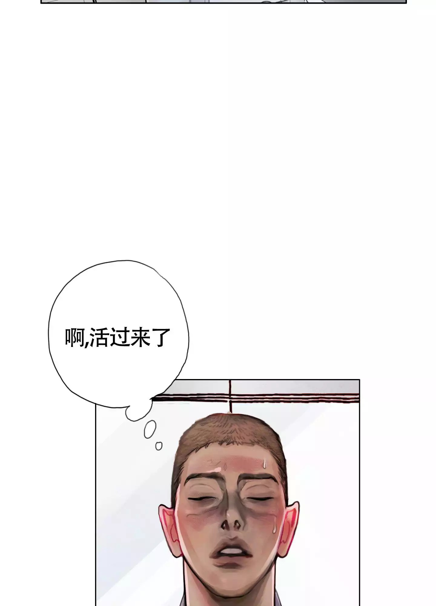 43.jpg