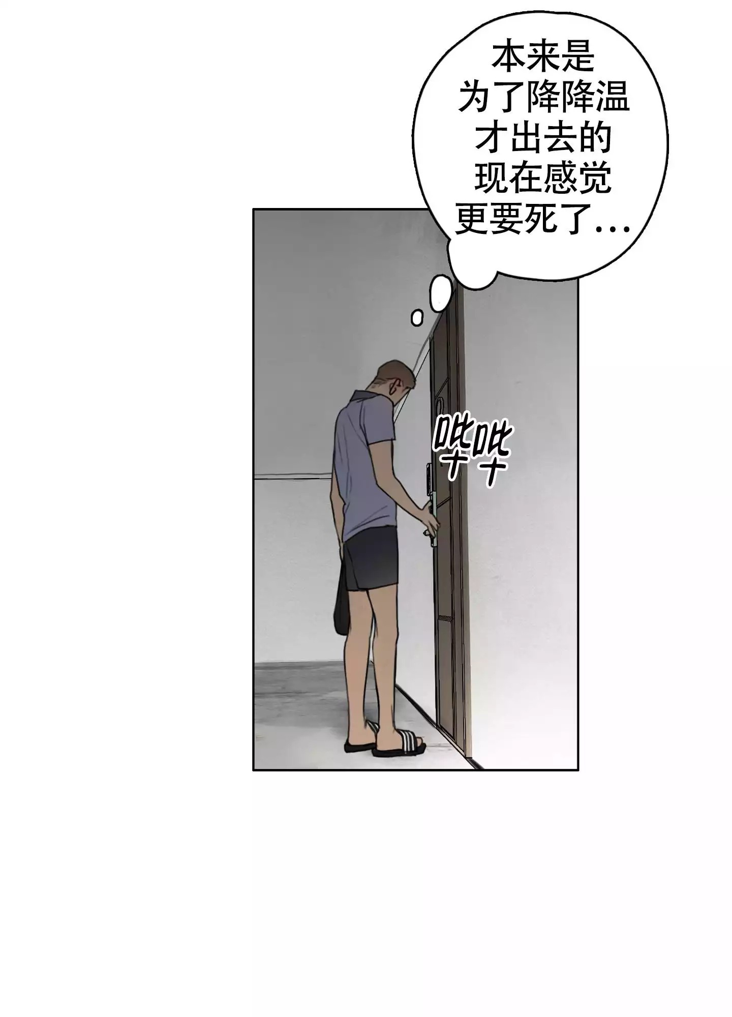 25.jpg