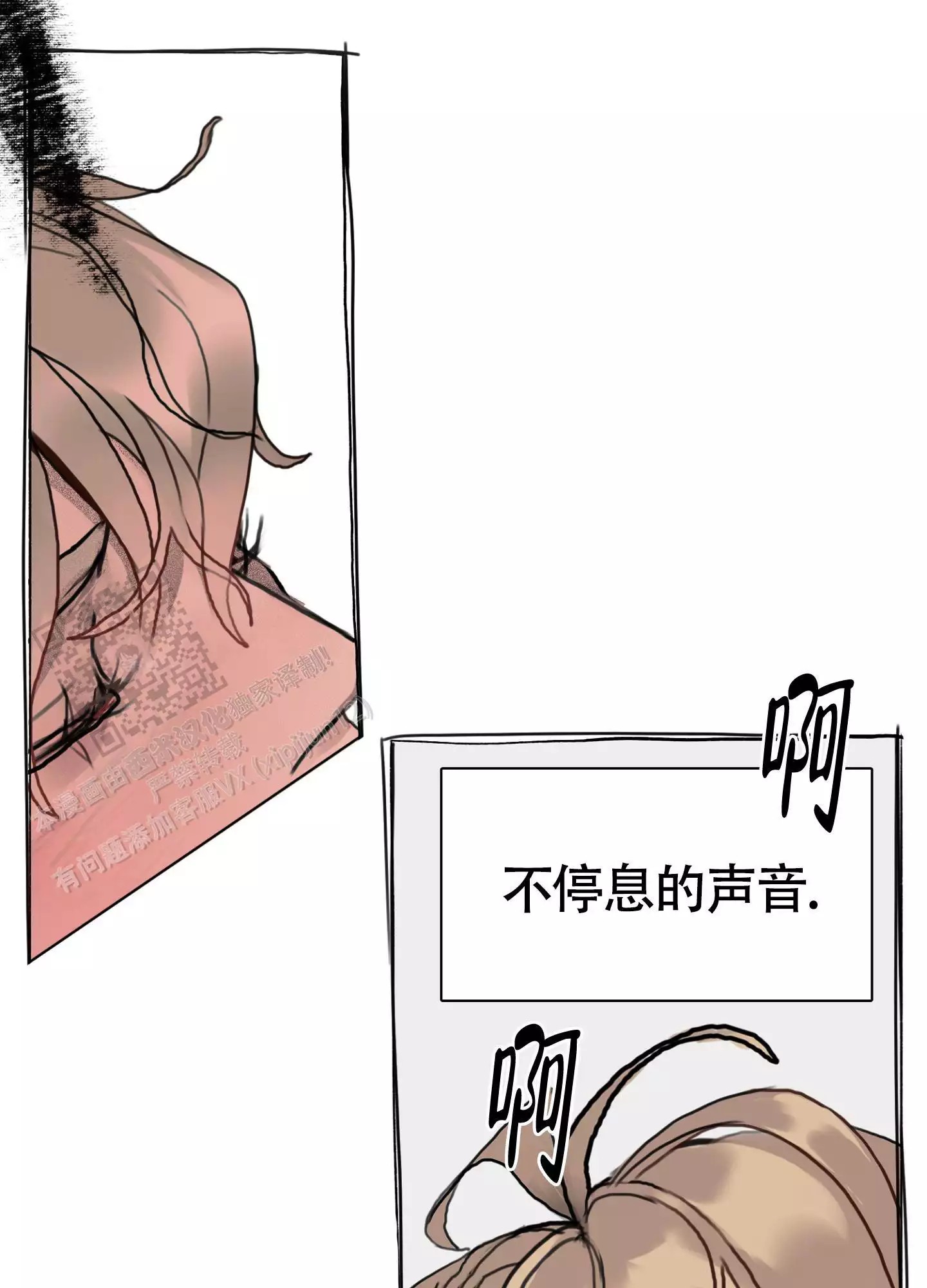 48.jpg